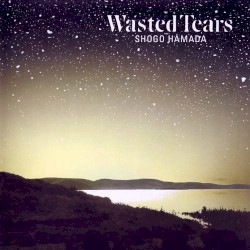 Wasted Tears album by Shōgo Hamada