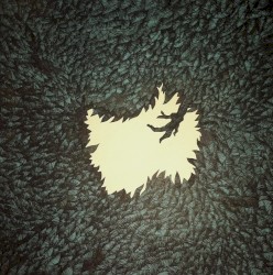 Get Disowned album by Hop Along