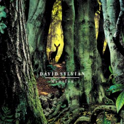 Manafon album by David Sylvian