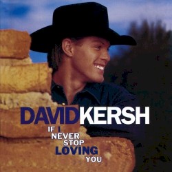 If I Never Stop Loving You