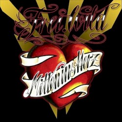 Mitten ins Herz album by Frei.Wild