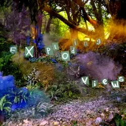 Exploding Views album by SJ Esau