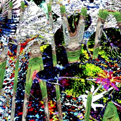 Noise 5706 album by Merzbow