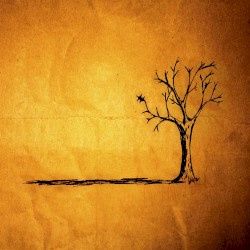 Fall album by Jon Foreman
