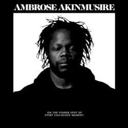 On the Tender Spot of Every Calloused Moment album by Ambrose Akinmusire
