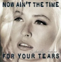 Now Ain't the Time for Your Tears