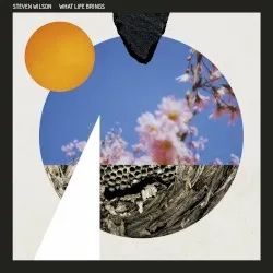 What Life Brings album by Steven Wilson