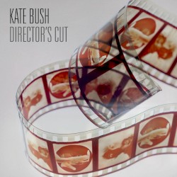 Director's Cut album by Kate Bush
