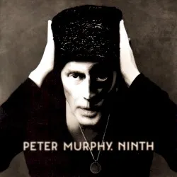 Ninth album by Peter Murphy