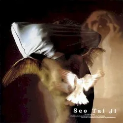 Seo Tai Ji album by Seo Taiji