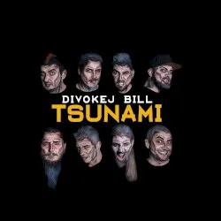 Tsunami album by Divokej Bill