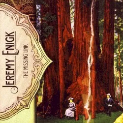 The Missing Link album by Jeremy Enigk