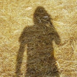 Unreleased Electronic Music Vol. 1 album by Steven Wilson