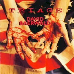 Triage album by David Baerwald