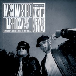 Musica che non si tocca album by Bassi Maestro