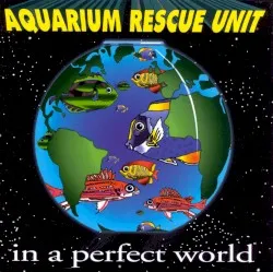 In a Perfect World album by Col. Bruce Hampton and The Aquarium Rescue Unit