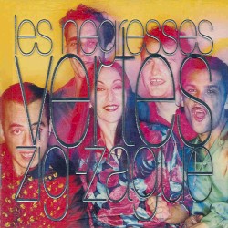 Zig-zague album by Les Négresses Vertes