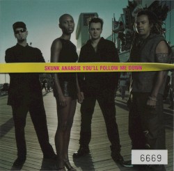 You'll Follow Me Down album by Skunk Anansie