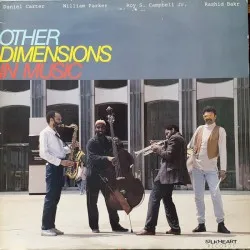 Other Dimensions In Music album by Other Dimensions In Music