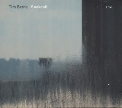 Snakeoil album by Tim Berne