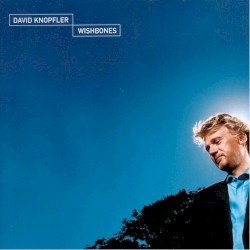 Wishbones album by David Knopfler