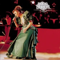 El concierto… En vivo