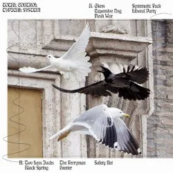 Typical System album by Total Control