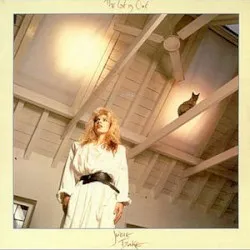 The Cat Is Out album by Judie Tzuke