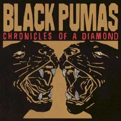 Chronicles of a Diamond