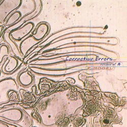 Corrective Errors〜remix of Fune album by P-Model
