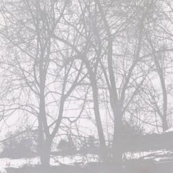 Compiled Fragments 1997–2003 album by Envy