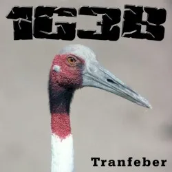 Tranfeber album by 1G3B