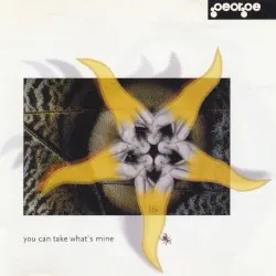 You Can Take What's Mine album by George
