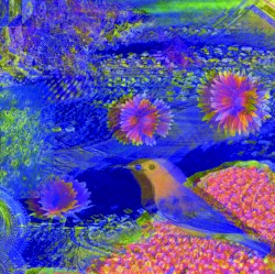 Untitled 1991 Vol. 1 album by Merzbow