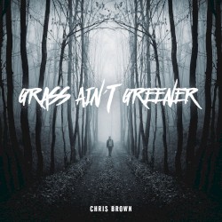 Grass Ain't Greener album by Chris Brown