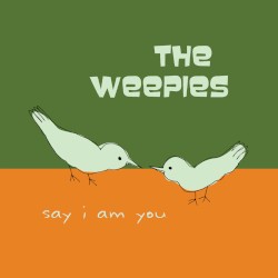 Say I Am You album by The Weepies