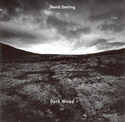 Dark Wood album by David Darling