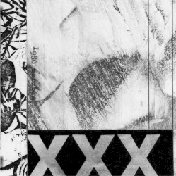 Pornoise Vol. 2 album by Merzbow