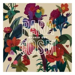Paracosm album by Washed Out