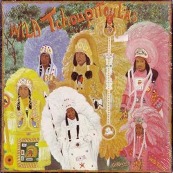 The Wild Tchoupitoulas
