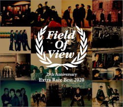 FIELD OF VIEW 25th Anniversary Extra Rare Best 2020 album by Field of View
