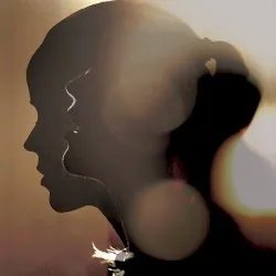 Whispers album by Tina Dico