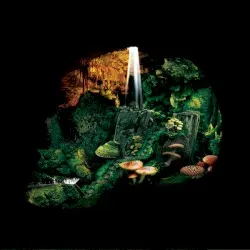 Iron Marsh album by Hexvessel