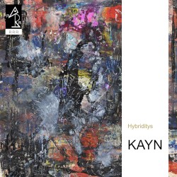 Hybriditys album by Roland Kayn