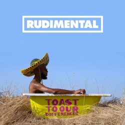 Toast to Our Differences album by Rudimental