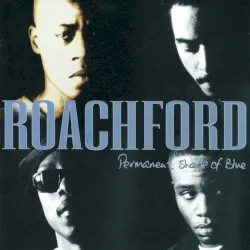 Permanent Shade of Blue album by Andrew Roachford