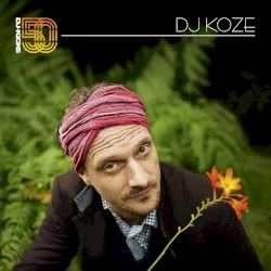 DJ-Kicks: DJ Koze album by DJ Koze