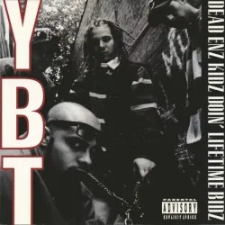 Dead Enz Kidz Doin' Lifetime Bidz album by Young Black Teenagers