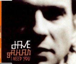 I Need You album by Dave Gahan