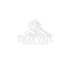 This Place Is Painted Red album by Deas Vail